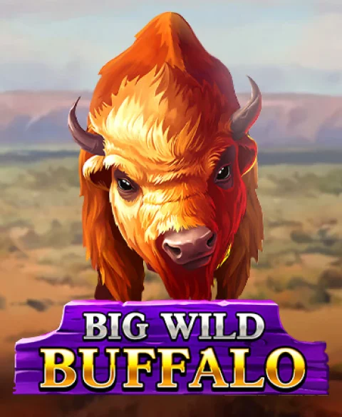 Play Big Wild Buffalo at Win Storia Casino
